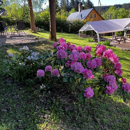 Penzion Hají Janov nad Nisou Exteriér fotografie