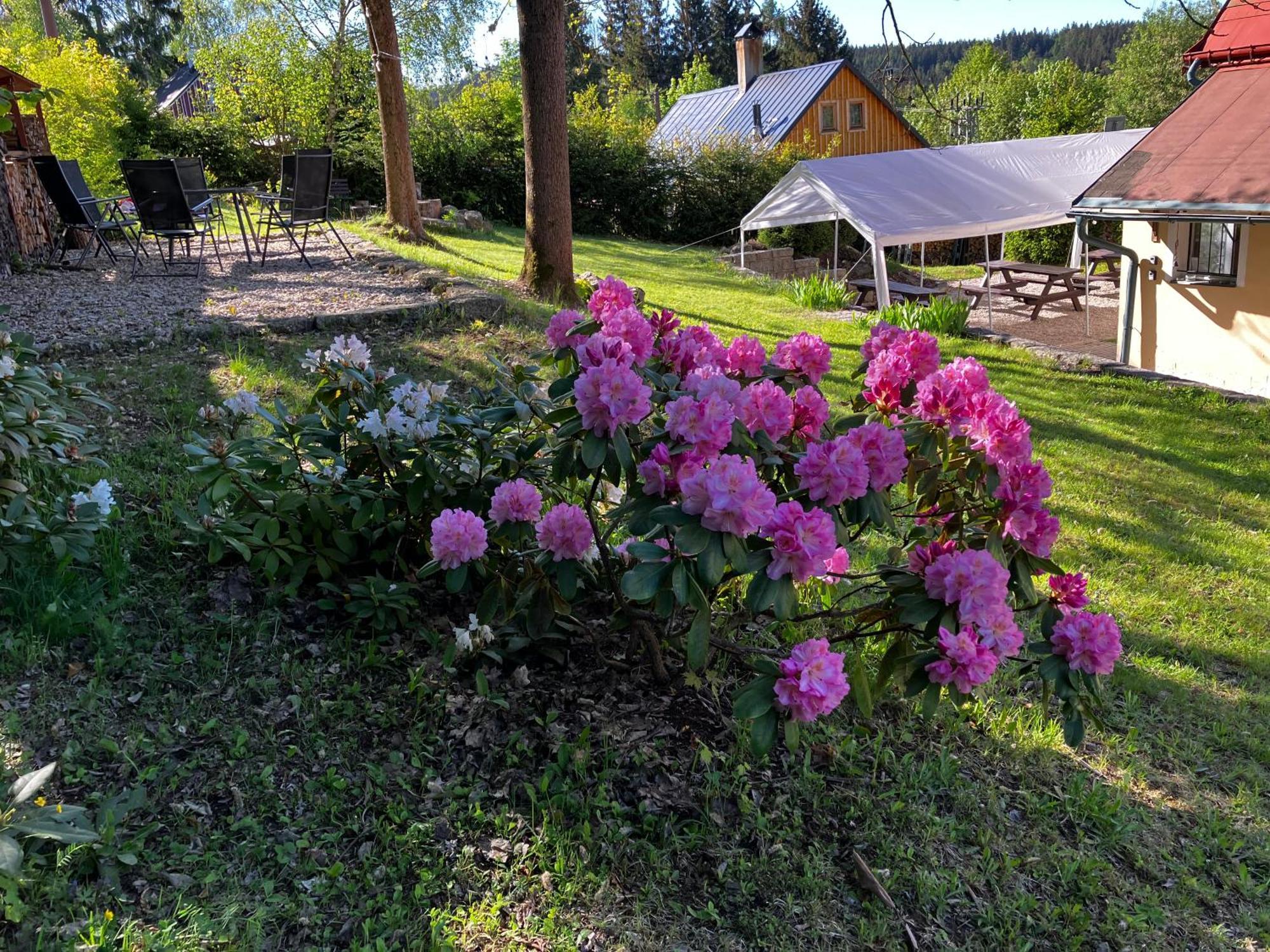 Penzion Hají Janov nad Nisou Exteriér fotografie