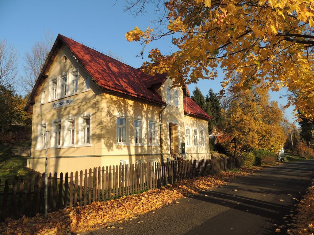 Penzion Hají Janov nad Nisou Exteriér fotografie