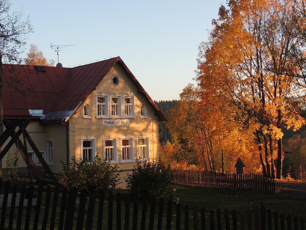 Penzion Hají Janov nad Nisou Exteriér fotografie
